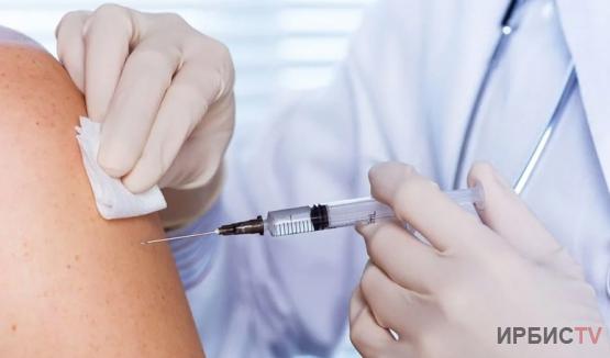 Более 1,5 тысяч человек обратились за прививкой от бешенства в Павлодарской области